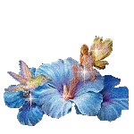 Fleurs