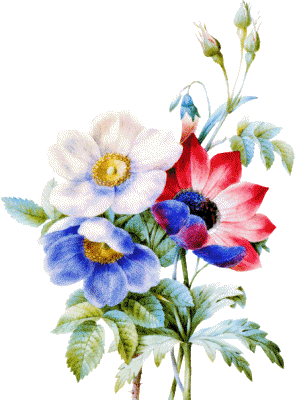 Fleurs