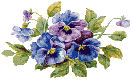 Fleurs