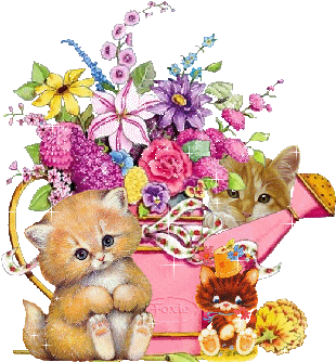 Fleurs