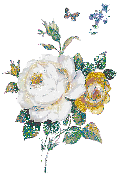 Fleurs