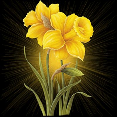 Fleurs