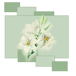 Fleurs