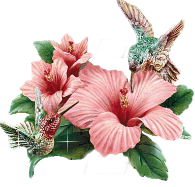 Fleurs