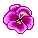 Fleurs