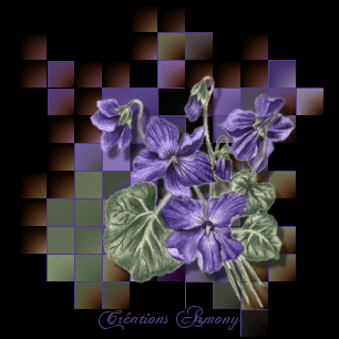 Fleurs