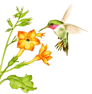Fleurs