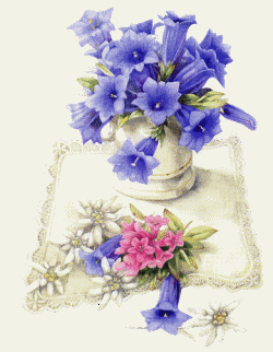 Fleurs