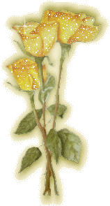 Fleurs