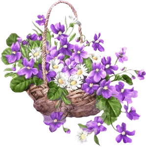 Fleurs