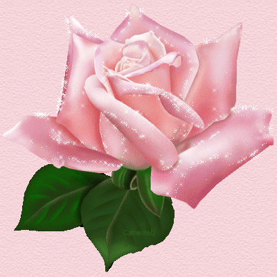Fleurs