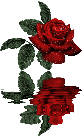Fleurs