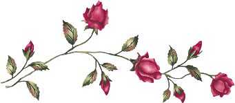 Fleurs