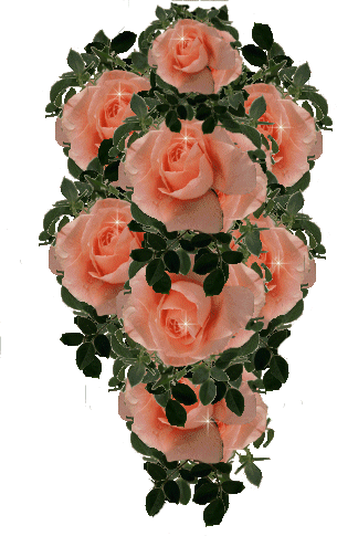 Fleurs