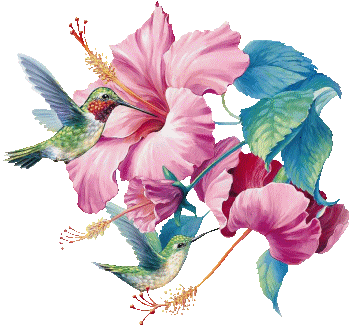 Fleurs
