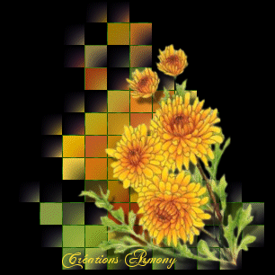 Fleurs