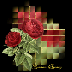 Fleurs