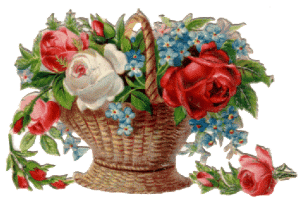 Fleurs