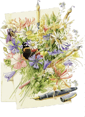 Fleurs