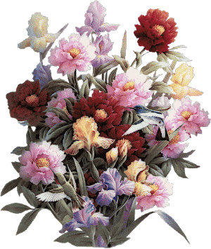 Fleurs
