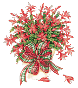 Fleurs
