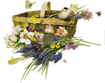 Fleurs