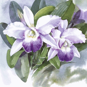 Fleurs