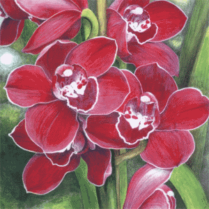 Fleurs