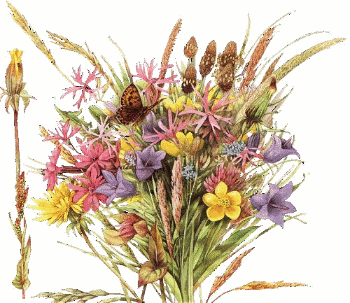 Fleurs