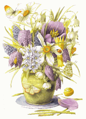 Fleurs