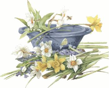 Fleurs