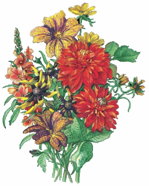 Fleurs