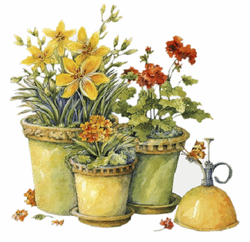 Fleurs