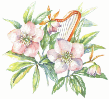 Fleurs