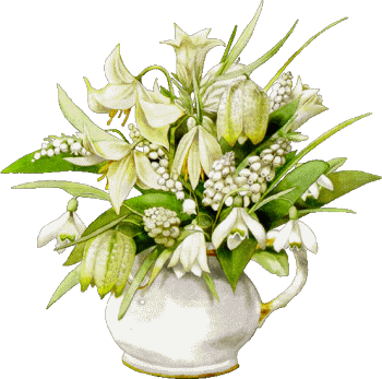 Fleurs