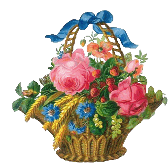 Fleurs