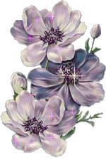 Fleurs