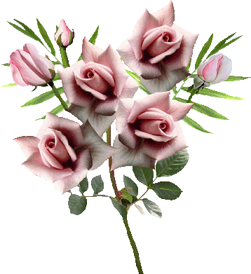 Fleurs