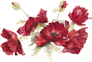 Fleurs