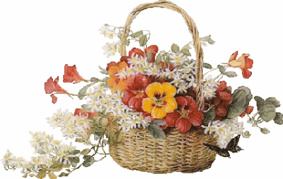 Fleurs