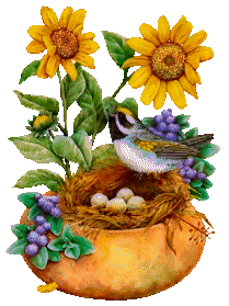 Fleurs