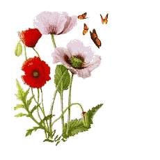 Fleurs