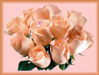 Fleurs