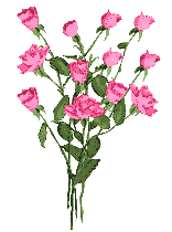 Fleurs