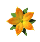 Fleurs