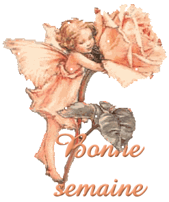 Jours