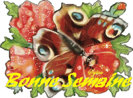 Jours
