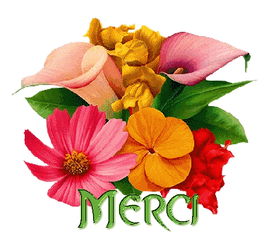 Merci