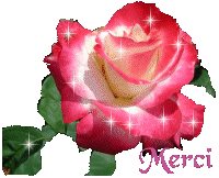 Merci