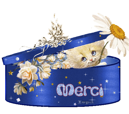 Merci